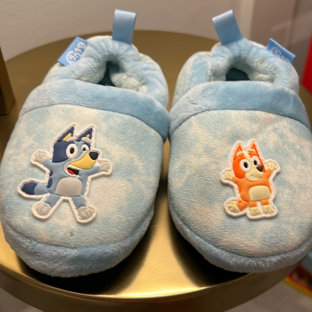 Bluey Slippers Size Medium